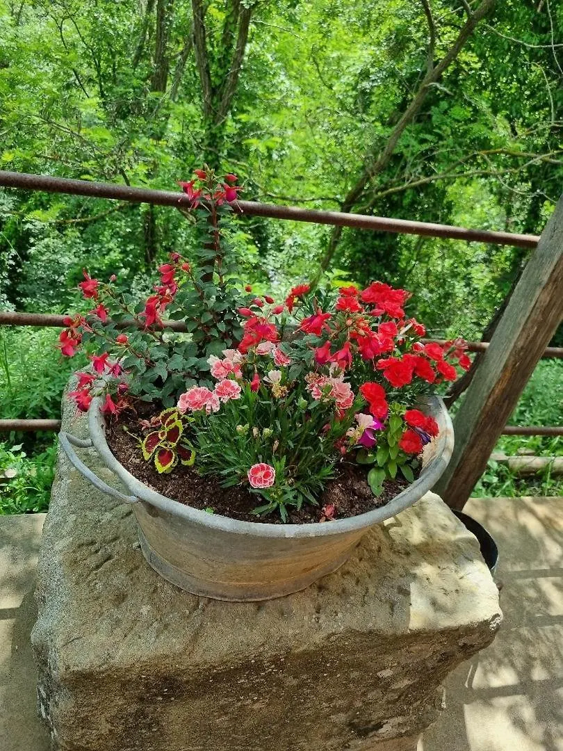 Agriturismo Villa Anna 塞斯托－菲奥伦蒂诺